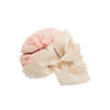 Modelo Anatomico Craneo con Cerebro Tamaño Natural